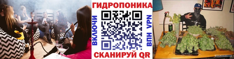 Каннабис гибрид  Солигалич 
